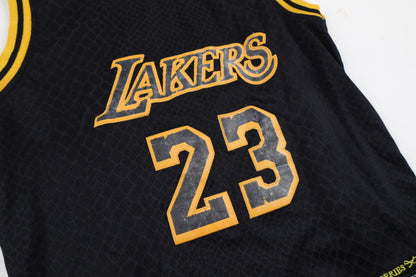 Los Angeles Lakers NBA #23 Lebron James Pelipaita